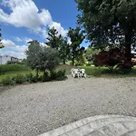 Cervi